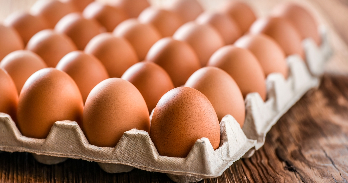 æg giver rekordregnskab: danæg omsætter for flere milliarder kroner