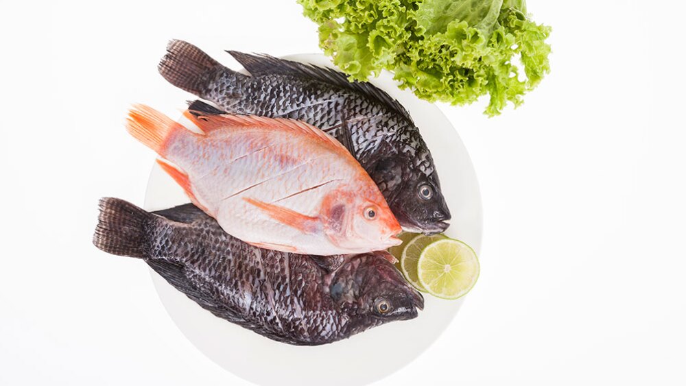 cocina económica: caldo de pescado por menos de 200 pesos