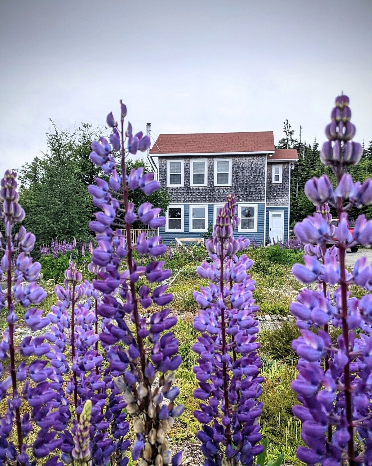 <a href="https://www.cntraveler.com/story/newfoundland-canada-road-trip?mbid=synd_msn_rss&utm_source=msn&utm_medium=syndication">Newfoundland</a> is well-known for its breathtaking cliffside iceberg views—and this modern cottage in Port Rexton was made for the traveler looking for that postcard rural Newfoundland scenery. The two-bedroom home is spacious enough for four people (ideally couples) and is walking distance to local attractions like the Port Rexton Brewery, Fishers Loft Restaurant, and more restaurants and bars. Keen to simply settle into the property and soak up the fauna and flora? The Middle Hill Cottage is situated on an acre of private land and features an expansive look-out deck and barbecue for those hoping to unwind in nature. $179, Airbnb (Starting Price). <a href="https://www.airbnb.com/rooms/45524329">Get it now!</a><p>Sign up to receive the latest news, expert tips, and inspiration on all things travel</p><a href="https://www.cntraveler.com/newsletter/the-daily?sourceCode=msnsend">Inspire Me</a>
