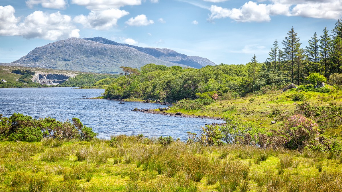 <p><span>Ireland's Lough Corrib invites anglers to its tranquil waters, renowned for brown trout and salmon. This destination is a testament to the timeless appeal of fly fishing, set against the backdrop of Ireland's lush landscapes and historic ruins. It's a place where the sport transcends fishing, becoming a peaceful communion with nature.</span></p>