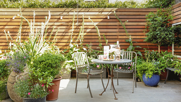 how-to-arrange-pots-on-a-patio-6-tips-for-adding-plants-to-a-paved