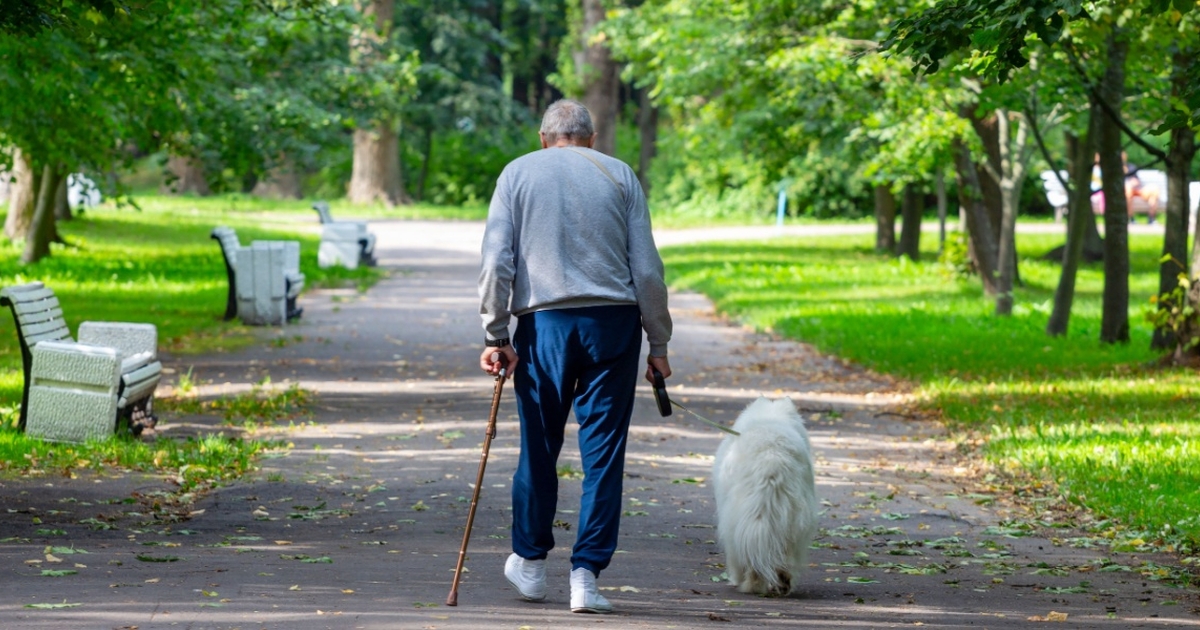 What's the Ideal Number of Daily Steps Based on Age? Here Are the Recommendations