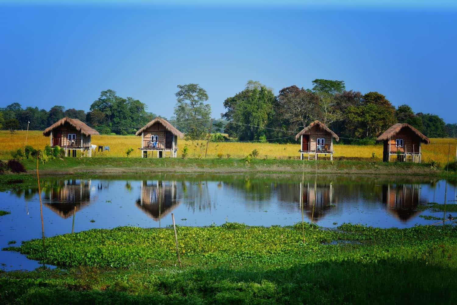 <ul> <li><strong>Location:</strong> India</li> <li><strong>Known For:</strong> Being the largest river island in the world</li> </ul> <p>Majuli Island is located in Assam, India, and holds the Guinness World Record for being the largest river island in the world. However, flooding and erosion are impacting the island. To put things in perspective, in the 19th century, Majuli Island measured around 500 square miles and is <a href="https://whc.unesco.org/en/tentativelists/1870/">now around 136 square miles</a>. Between flooding, erosion, and the ever-changing effects of nature, many experts fear that the island will be submerged entirely sooner rather than later.</p>