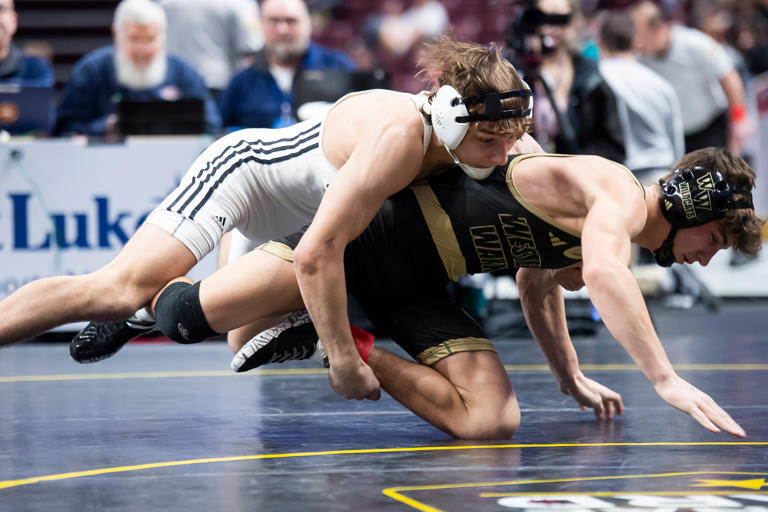 Meet the GameTimePA 2024 YAIAA boys' wrestling all-stars; wrestler of ...