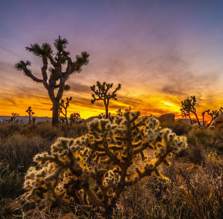 These Are The Top 7 National Parks To Visit This Spring