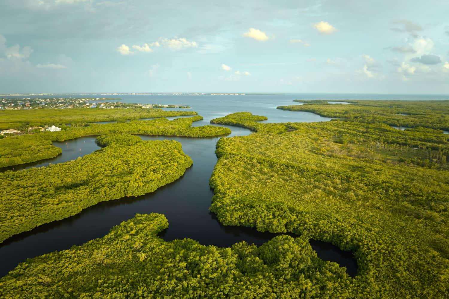 <ul> <li><strong>Location:</strong> South Florida</li> <li><strong>Known For:</strong> Covering 7,800 square miles across Florida, it's a wetland ecosystem with a surplus of wildlife.</li> </ul> <p>Rising sea levels are affecting Florida's coastlines, and if the predictions ring true, then the Everglades National Park is in danger of disappearing altogether. The effects of global warming are already rearing their ugly head, with the rise of sea levels, warmer water temperatures, and higher salinity. The changing climate is also affecting the wildlife and plants that thrive in the Everglades.</p>