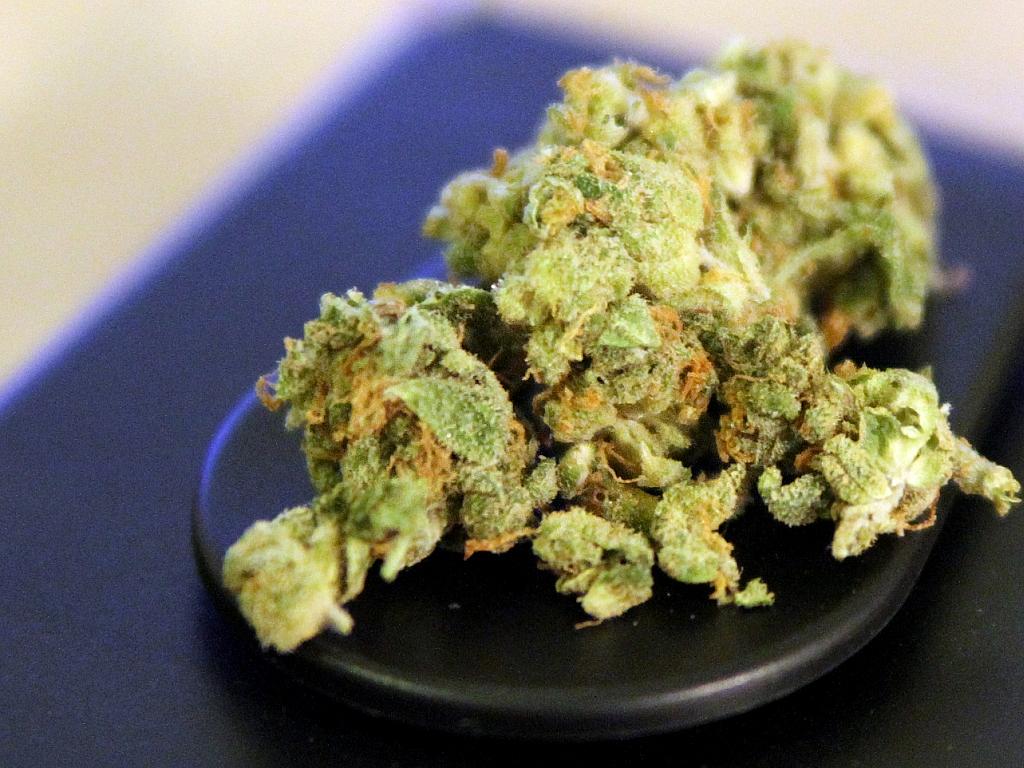bundesregierung ebnet weg für legalen verkauf von cannabis