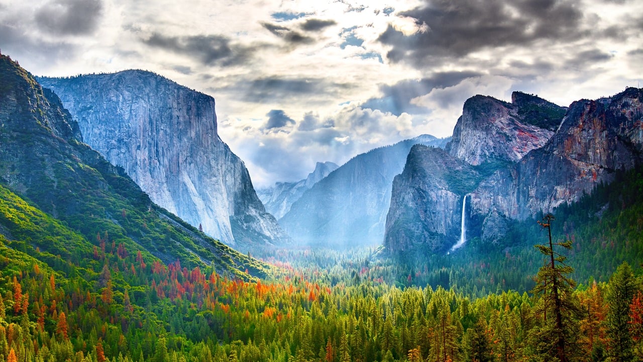 <p>From the luscious, towering forests of Yosemite to the vast canyons of the Grand Canyon, America’s national parks offer some of the world’s most breathtakingly beautiful sights.</p> <p>Whether you’re an outdoor enthusiast or want to enjoy a day in nature, you probably want to add a few of the country’s National Parks to your bucket list. Free entry into one of these parks is the travel deal you didn’t know you needed in 2024.</p>