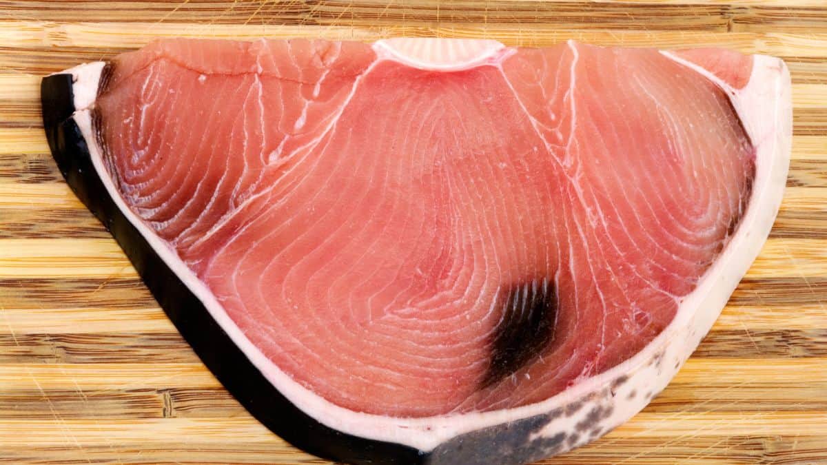 The Top 10 MercuryHeavy Fish and What to Have Instead