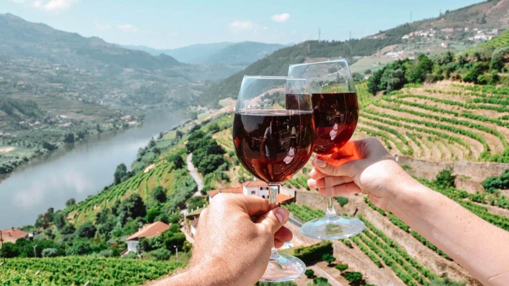 <p>While Porto is a good enough destination to explore Port wines, if you want to go further, take a trip to Pinhao for an exhaustive immersion. Port wines, loved for their complex aromas, are made from grape varieties such as Touriga Nacional, Touriga Franca, and Tinta Roriz. </p><p>Take a step further and tour estates (known as Quintas) at the frontline of producing Portugal’s beloved wine. Quinta do Noval, Quinta de la Rosa, and Quinta do Vale Meão are renowned for the quality tours and experiences they offer tourists. </p><p>After touring the estates, take time to admire the terraced vineyards along the banks of the Douro River. Some of the most famous vineyards in the valley include Quinta do Bomfim, Quinta da Roêda, and Quinta do Crasto; they’re genuinely sights to behold.</p><p class="has-text-align-center has-medium-font-size">Read also: <a href="https://worldwildschooling.com/must-visit-european-cities/">Must-Visit European Cities</a></p>