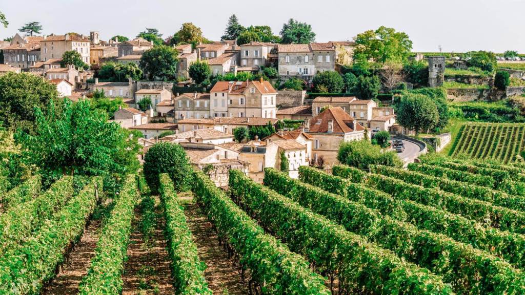 <p>Just an hour’s drive from Bordeaux city center, Saint-Emilion is renowned for producing red wine, primarily from Merlot and Cabernet Franc grapes. </p><p>Take tours of some of the town’s stunning vineyards, such as Château Canon and Château Figeac. You may also want to take wine-tasting trips to the estates of winemaking families in the region. The most renowned families include Malet Roquefort and the de Boüard de Laforest (owners of Château Angélus). </p><p>Saint-Emilion is the place to savor some of the finest wine in the world and take in views of well-manicured vineyards and stunning architecture.</p><p class="has-text-align-center has-medium-font-size">Read also: <a href="https://worldwildschooling.com/small-towns-in-europe/">Gorgeous Small Towns in Europe</a></p>