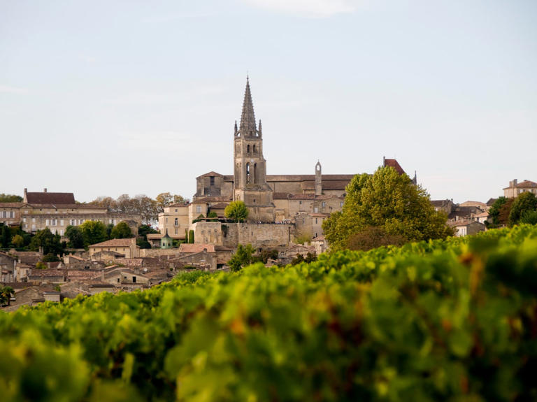 The vineyards of of Saint-Émilion are an essential stop on a Bordeaux wine tour