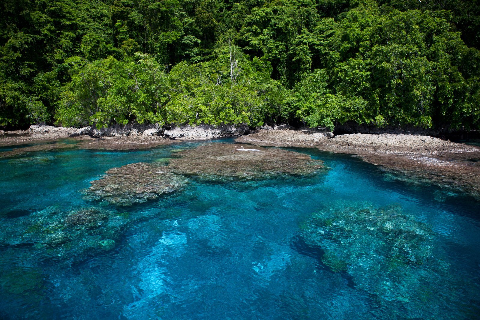 <p> <span>The Solomon Islands, known for their rich biodiversity and WWII history, offer a sustainable travel experience rooted in nature and heritage. The islands’ commitment to preserving their ecosystems is seen in their protected marine areas and community conservation efforts.</span></p> <p><span>Visitors can explore coral reefs, WWII relics, and traditional villages. The Solomon Islands also offer opportunities for cultural immersion, including traditional dance and music.</span></p> <p><b>Insider’s Tip: </b><span>Dive or snorkel at the Florida Islands to explore pristine coral reefs and WWII wrecks.</span></p> <p><b>When To Travel: </b><span>April to November for the best weather for outdoor activities.</span></p> <p><b>How To Get There: </b><span>Fly into Honiara International Airport from Australia or Fiji.</span></p>