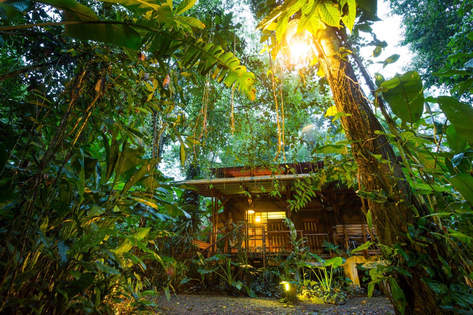 <p>A pioneer in eco-tourism, offering luxury eco-lodges and a wide array of sustainable travel experiences.</p>