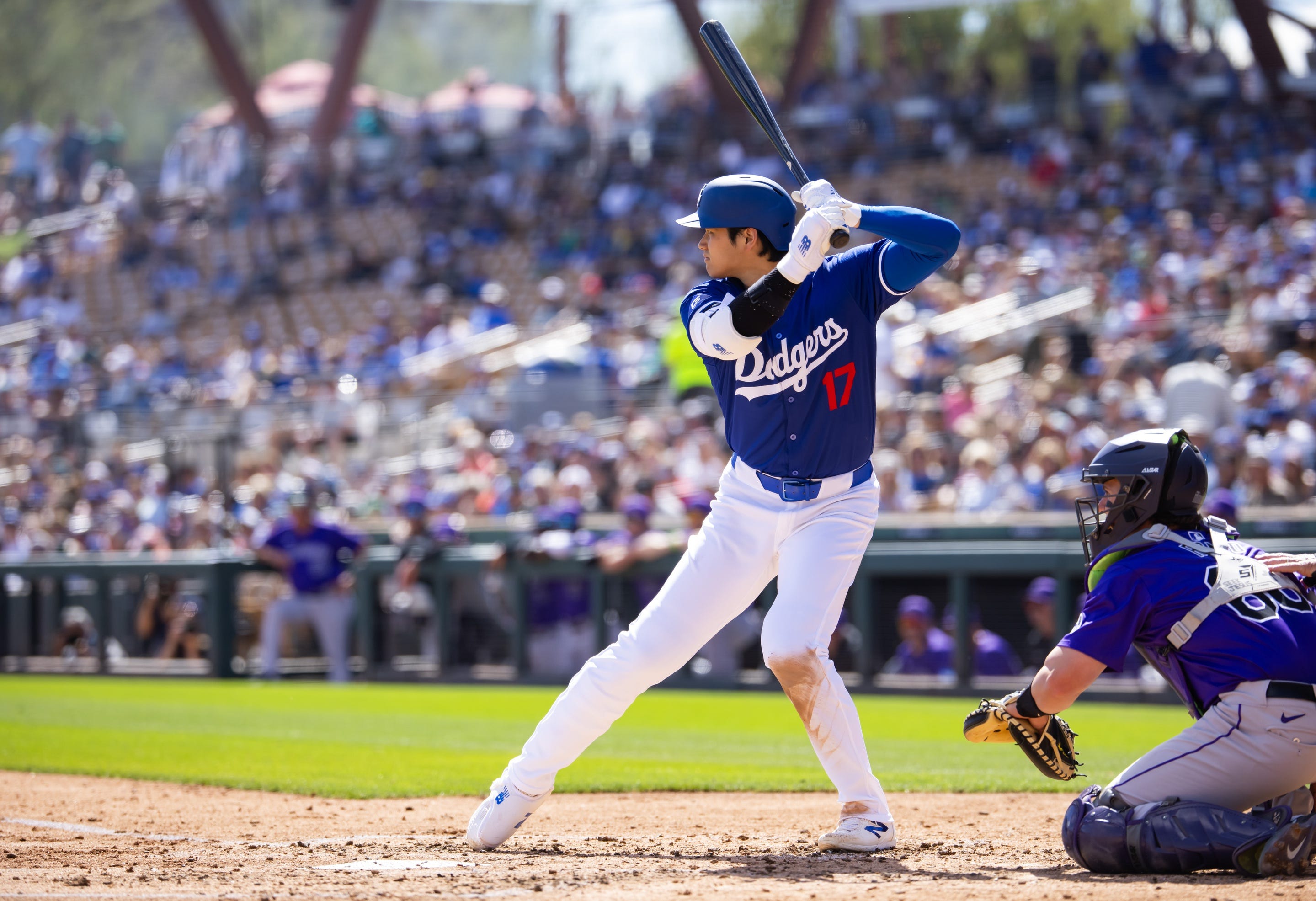 2024 Designated Hitter Rankings Shohei Ohtani Now Rules The NL   BB1jyrwA.img