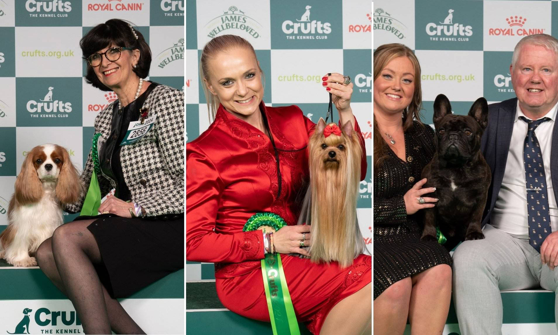 Crufts results All the winners so far pictured as controversial breed