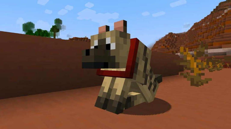 New Minecraft Update Adds Wolf Variants After A Decade of Wait