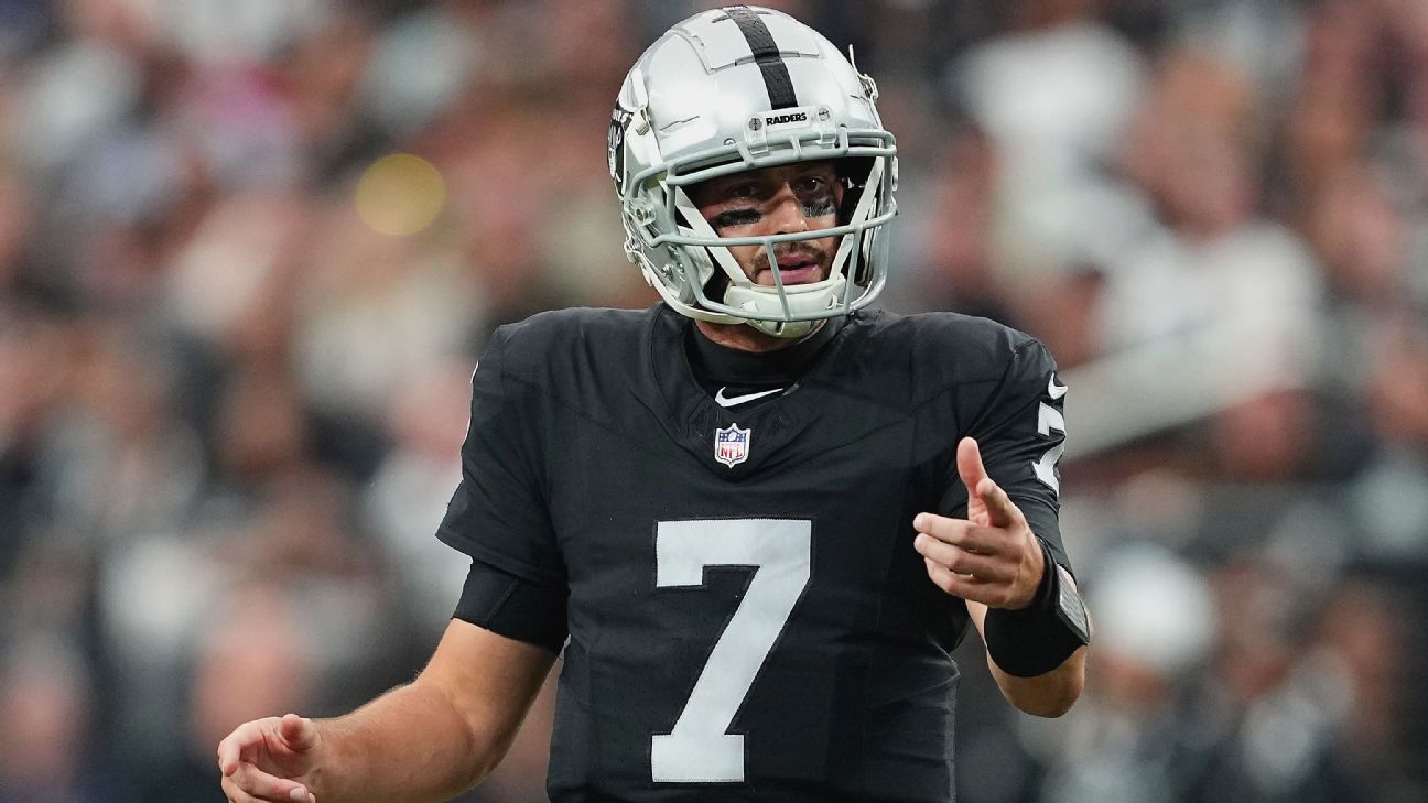 Raiders Release QB Brian Hoyer After 1 Season, Source Says