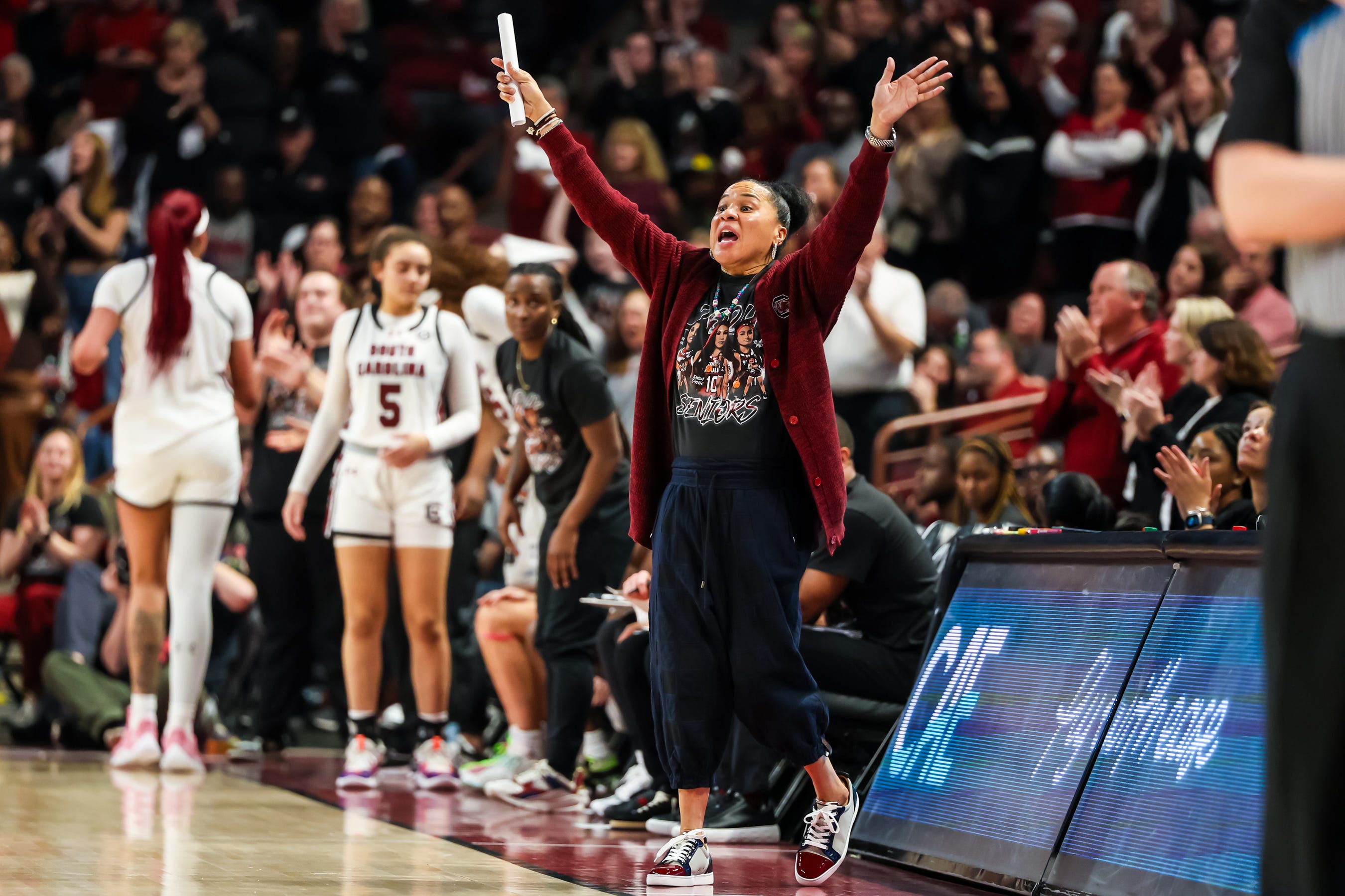 Freshman Tessa Johnson Gives Dawn Staley, South Carolina Women's ...