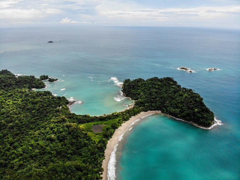 These top beaches of Costa Rica are the best options for travelers. Pictured: a flourishing coastline with clear waters