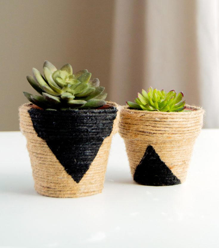 Diy Mini Planters For Your Tiny Succulent Garden