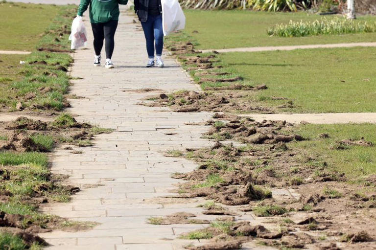 Dire state of popular green space in Swansea