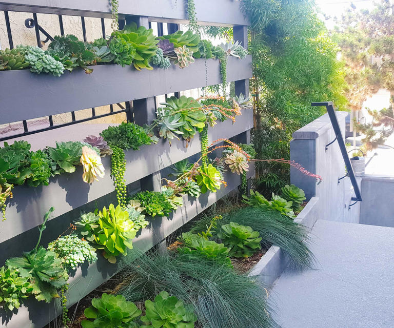 How to create a vertical garden – DIY advice for building a living wall