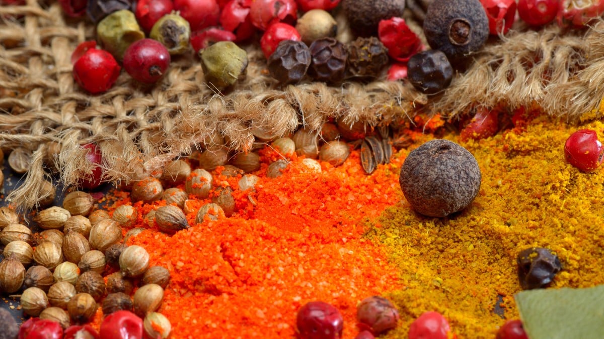 <p><span>The cuisine of India is a vibrant mosaic reflecting the country's diverse culture. From the smoky tandoori chicken of the north to the coconutty curries of the south, spices lead the culinary symphony. </span><span>The health benefits of these spices include anti-inflammatory properties and digestion aids, not just their flavor.</span></p>