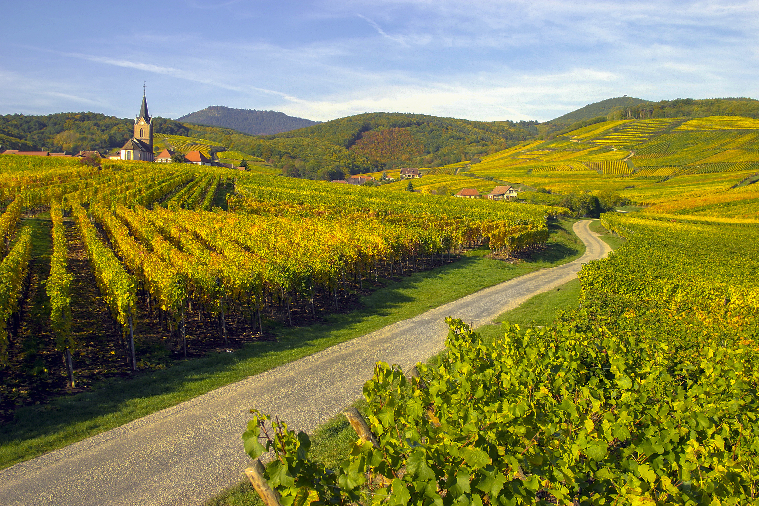<p>One of the original wine routes in France, Alsace is ideal throughout the year. You’ll stop at numerous wineries between Mulhouse and Strasbourg. Additionally, many other fairytale villages, such as Colmar and Riquewihr, are included.</p><p><a href='https://www.msn.com/en-us/community/channel/vid-cj9pqbr0vn9in2b6ddcd8sfgpfq6x6utp44fssrv6mc2gtybw0us'>Follow us on MSN to see more of our exclusive lifestyle content.</a></p>