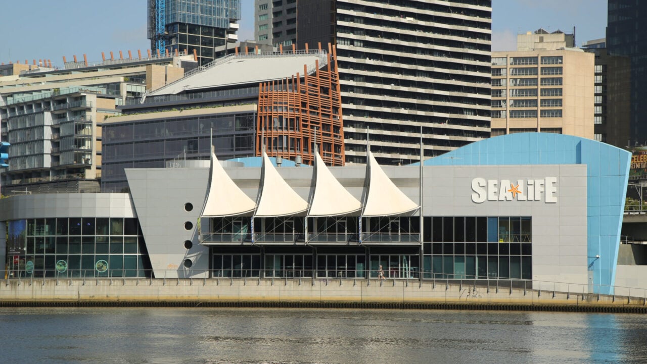 <p>Welcoming guests of all ages, SEA Life Melbourne Aquarium hosts 550 animal species. Take your boys through the Rainforest adventure while your daughters explore the Mermaid Garden at this multi-level attraction or vice versa. We recommend spending at least two hours here to fully experience the Aquarium’s charms.</p>