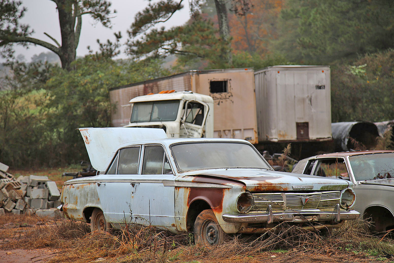 Some Interesting Junkyard Finds at Collins Auto Salvage in Auburn, Georgia