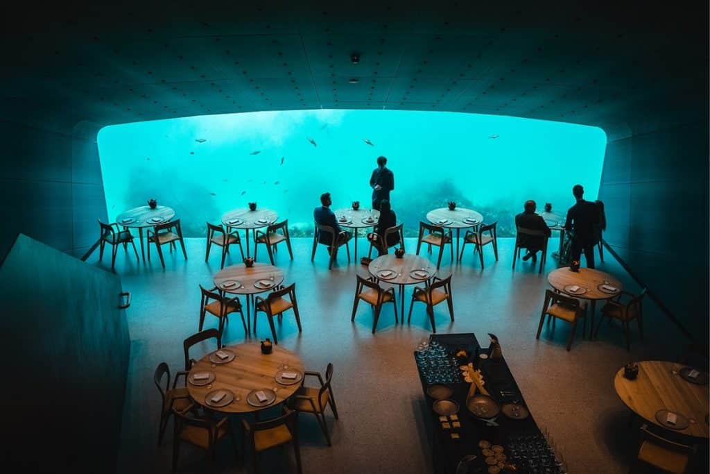 <p>Dining under the sea is no longer just a fantasy. Underwater restaurants, like Ithaa in the Maldives and Under in Norway, offer breathtaking views of the marine life. These establishments are often built with glass walls and ceilings, providing a 360-degree view of the underwater world. Guests can enjoy their meals while watching fish and other sea creatures swim by, creating a mesmerizing and serene dining experience.</p>