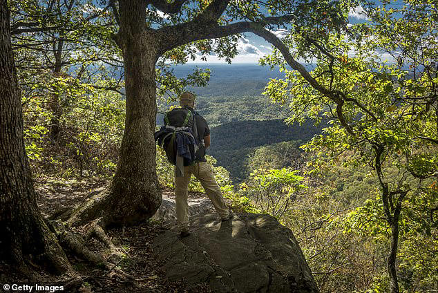 Thousands of retirees ditch Florida for Southern Appalachia - sparking ...