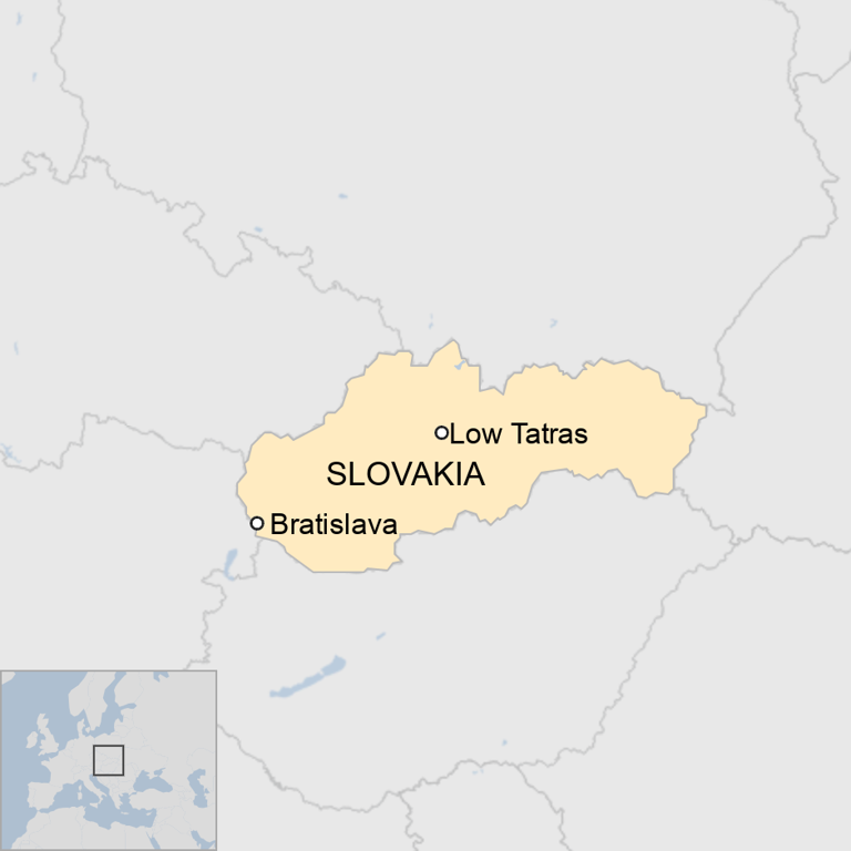 Woman dies after being chased by bear in Slovakia