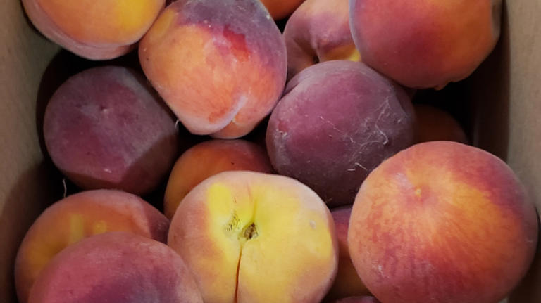 20 Types Of Peaches And The Best Ways To Use Them