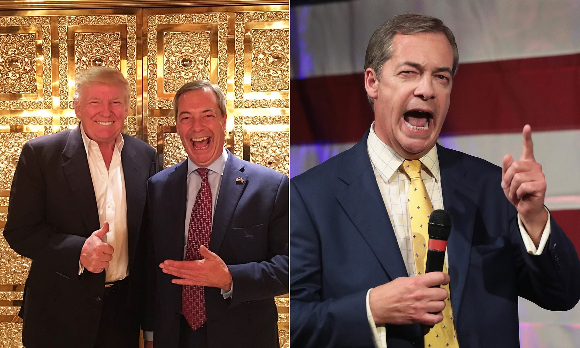 Nigel Farage Tipped For Envoy Role In Britain If Donald Trump Returns ...