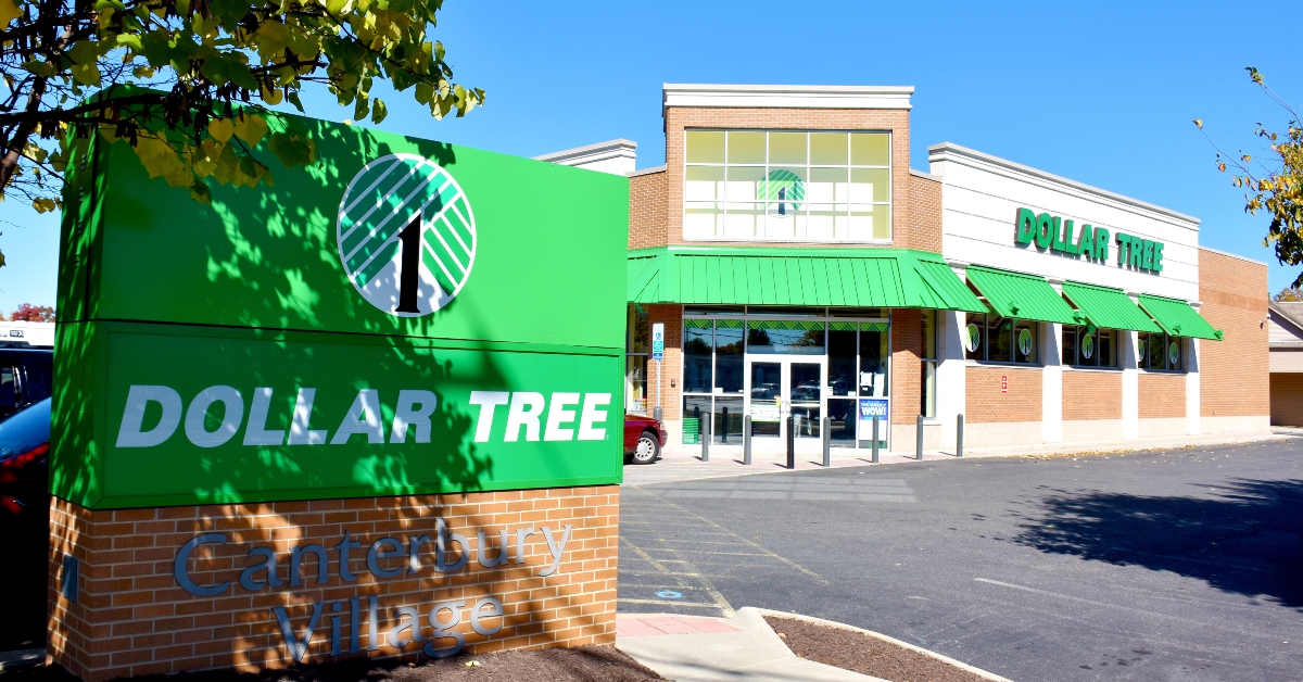 11 Best Dollar Tree Items to Resell and Make Money