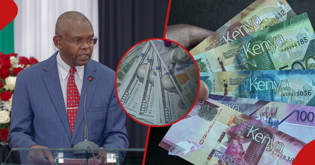 Does Kenya Have Enough US Dollar Reserves? Forex Reserves Trend Amidst ...