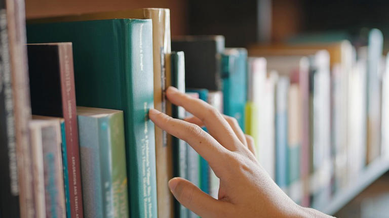 Create A Diy Bookcase That Doubles As A Display Shelf For Less With 