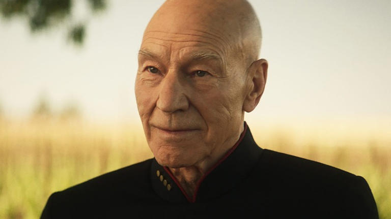 Old Picard in a field