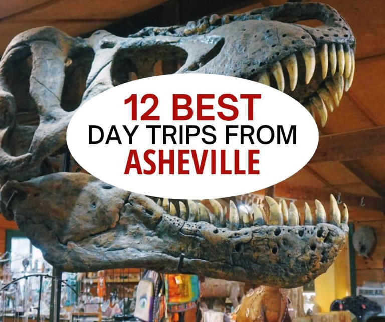 Asheville, North Carolina is a place that has something for everyone. It's a fabulous place to visit and live. But what'