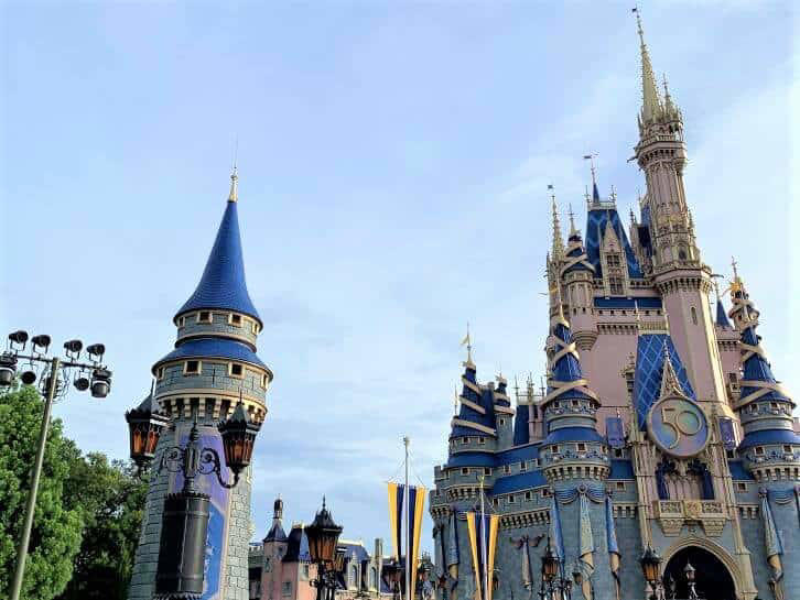 What Does a Disney World Vacation Cost for a Family of 5