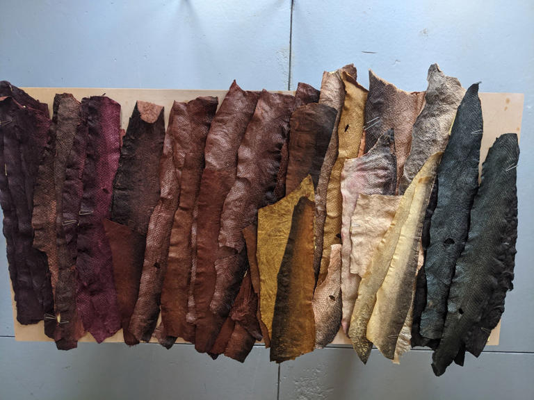 Fish skin leather, onion peel dyes: sustainable fashion designers from ...