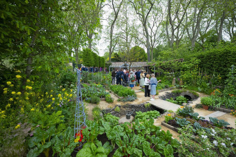How to watch the Chelsea Flower Show on TV starring Monty Don with his ...