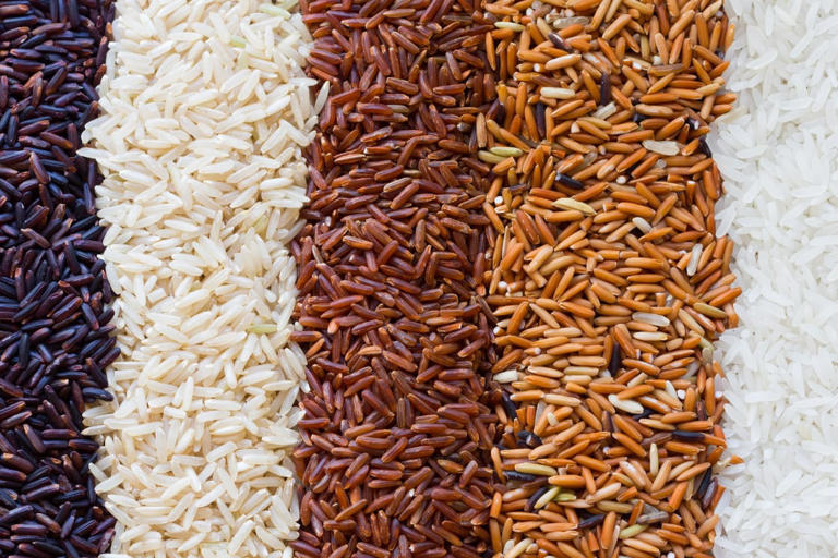 White Vs Brown Vs Red Vs Black Rice: What's Better For Your Health