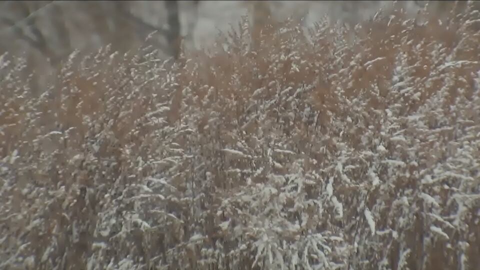 Snow Showers Possible Monday (3/18/24)