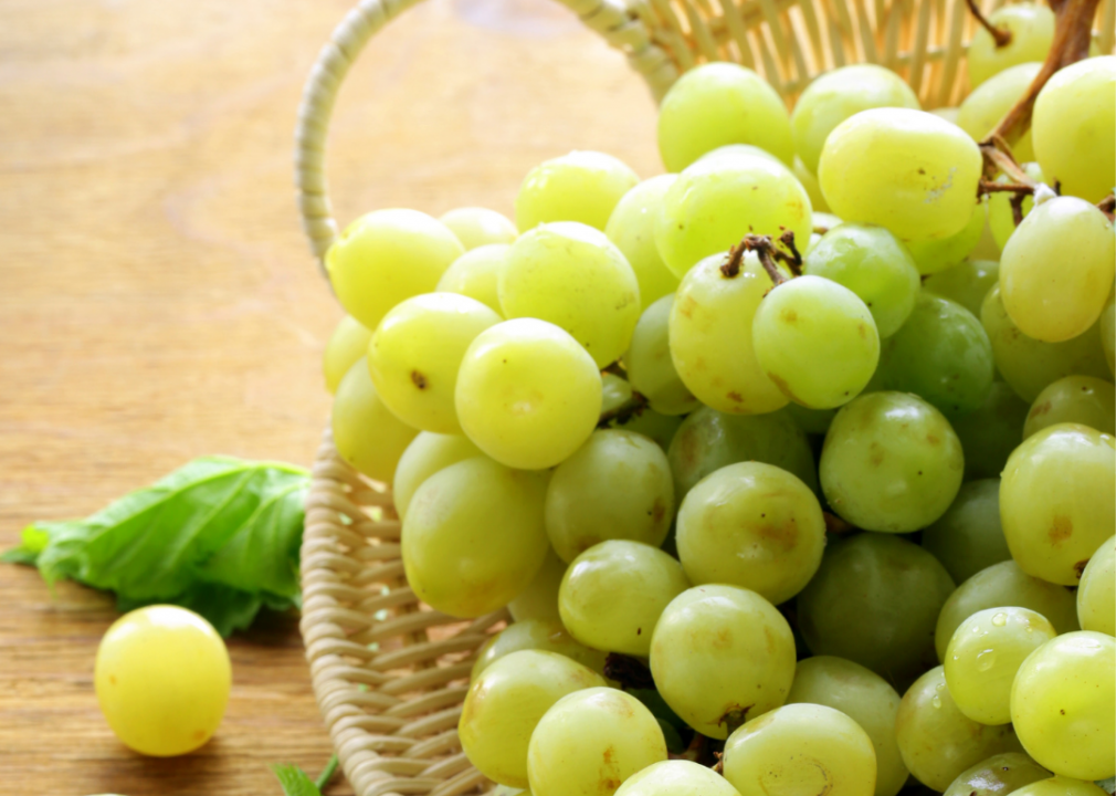 <p>No one knows what ingredient or compound in grapes and raisins makes them so poisonous to dogs, but they rank among the most serious food threats. Even small amounts can <a href="https://www.petmd.com/dog/emergency/digestive/e_dg_grape_raisin_toxicity">cause sudden kidney failure</a>, often signaled by your dog ceasing to urinate. Other symptoms include foul breath, loss of appetite, vomiting, and diarrhea. Some dogs are extremely susceptible to grape and raisin poisoning while others can eat them with no problem—something else that confounds experts.</p>