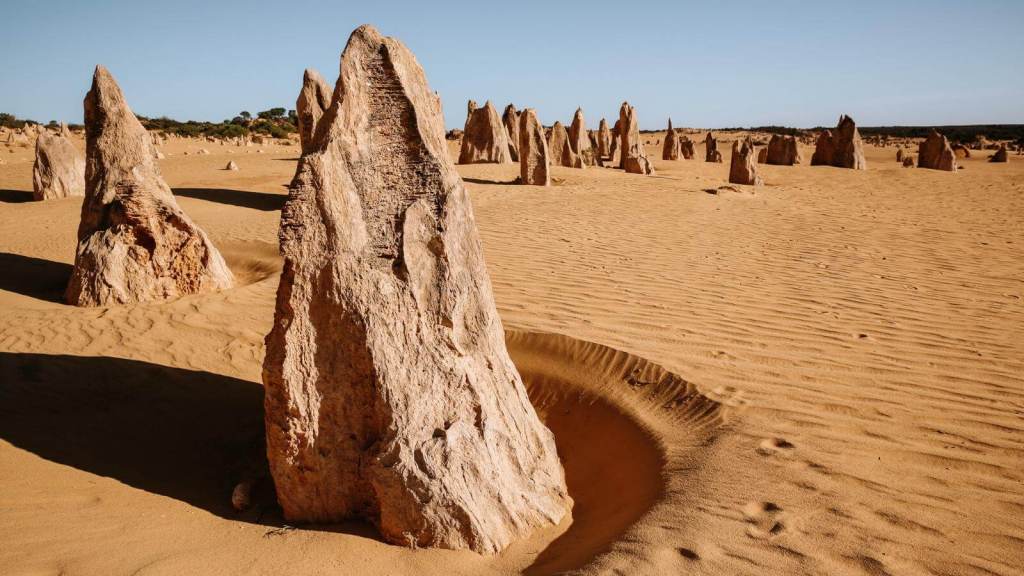 <p>The Pinnacles Desert is one of Australia’s most fascinating and unique landscapes. It is famous for its unique limestone formations, called pinnacles, which rise from the yellow sands. </p><p>Visiting the Pinnacles Desert feels like stepping into a different era; the rock formations and stone pillars create an ancient and nostalgic ambiance that continues to attract tourists from across the globe. </p><p>Take time to marvel at the thousands of eerie spires scattered through the vast sandy plains. While touring the Pinnacles Desert, you may also bump into kangaroos, emus, and various reptiles.</p><p class="has-text-align-center has-medium-font-size">Read also: <a href="https://worldwildschooling.com/iconic-places/">Iconic Places in the World</a></p>