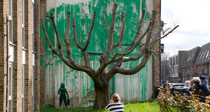 nytt banksy-verk intill beskuret träd
