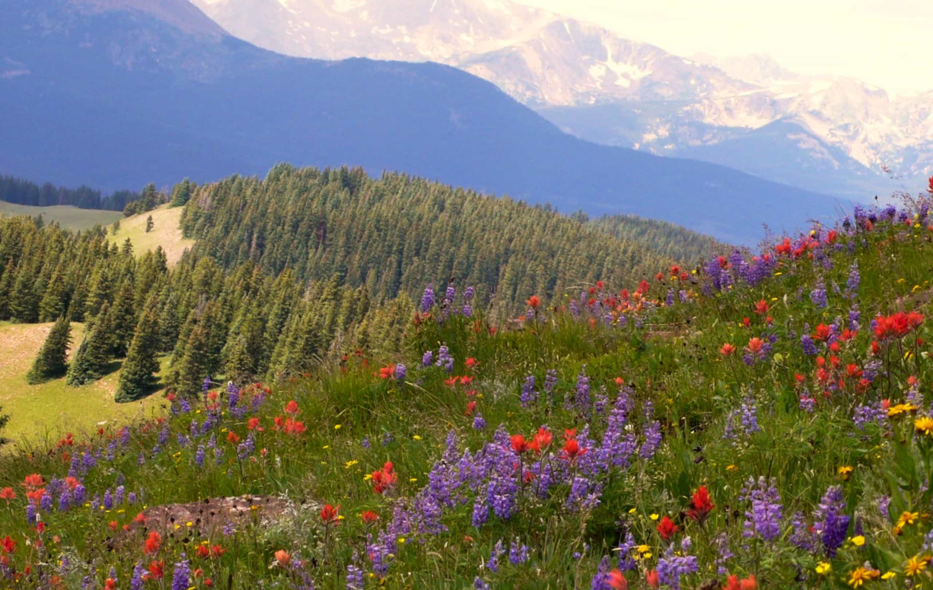 Majestic Mountain Passes You Need To Tread